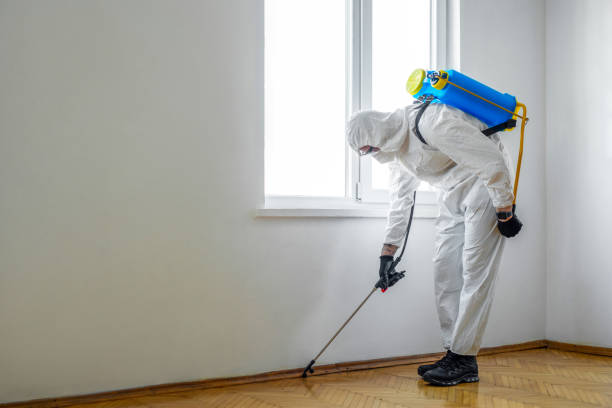 Best Insect Control  in Ashland, AL