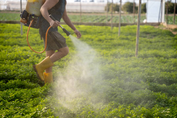 Best Affordable Pest Control Services  in Ashland, AL