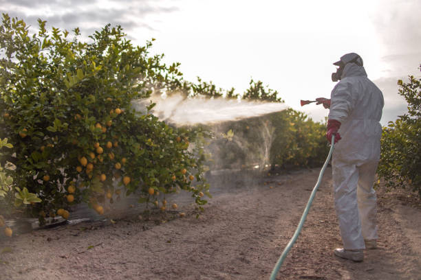 Best Pest Removal Services  in Ashland, AL