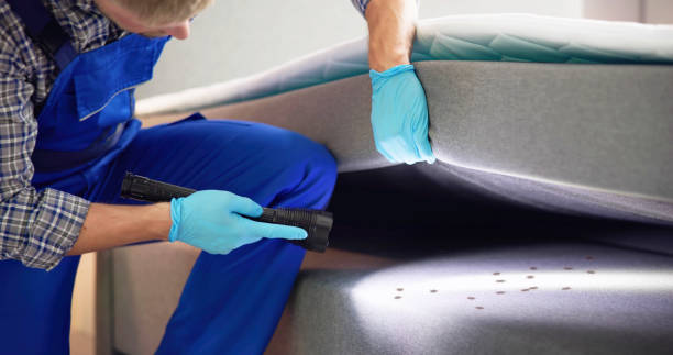 Best Pest Control Near Me  in Ashland, AL