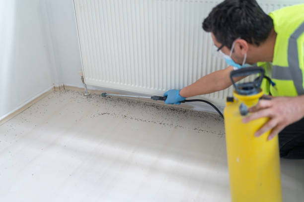 Pest Control Cost in Ashland, AL