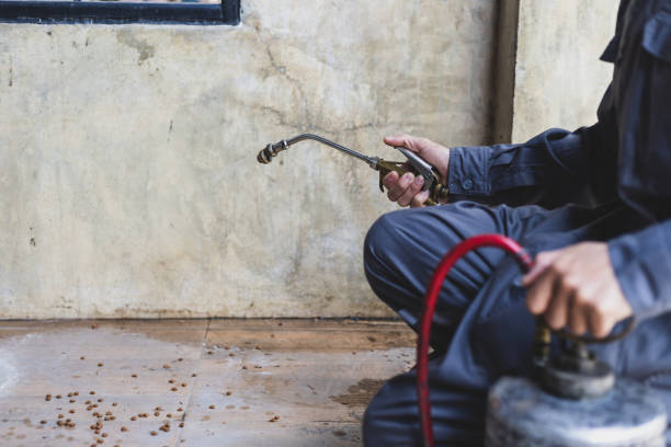 Best Flea Control Services  in Ashland, AL
